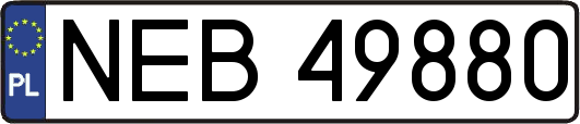 NEB49880