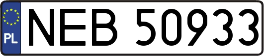 NEB50933