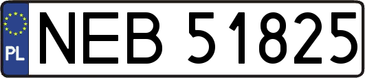 NEB51825