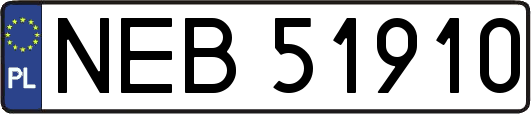 NEB51910