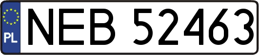 NEB52463