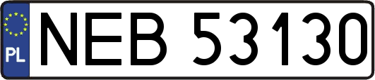 NEB53130