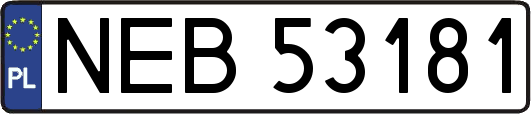 NEB53181