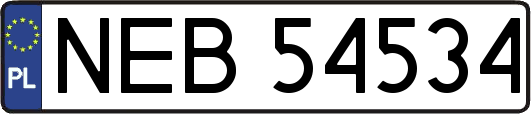 NEB54534