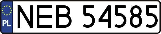 NEB54585