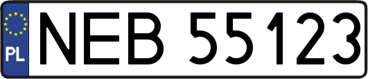 NEB55123