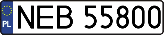 NEB55800