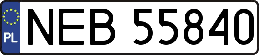 NEB55840