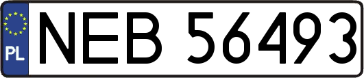 NEB56493