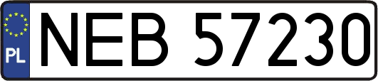 NEB57230