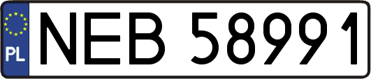 NEB58991