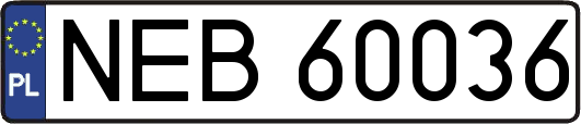 NEB60036