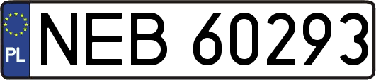 NEB60293
