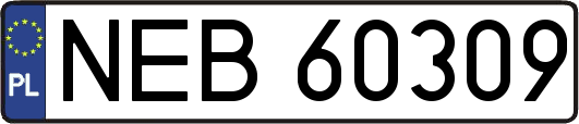 NEB60309