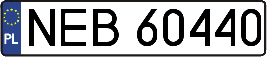 NEB60440