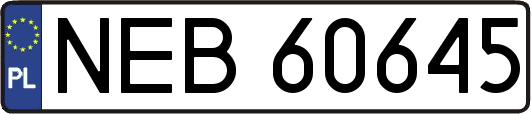 NEB60645