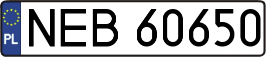 NEB60650