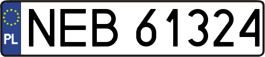 NEB61324