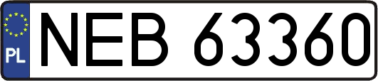 NEB63360