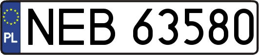 NEB63580