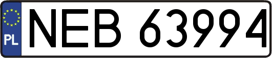 NEB63994
