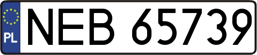 NEB65739