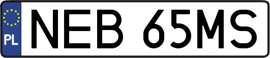 NEB65MS