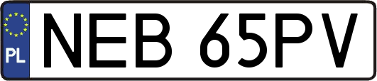 NEB65PV