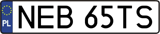 NEB65TS