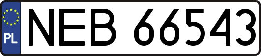 NEB66543