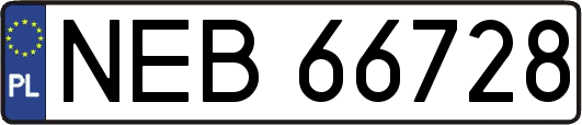 NEB66728