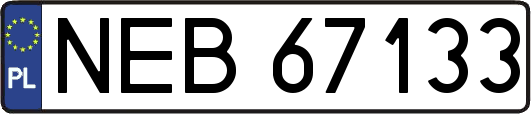 NEB67133