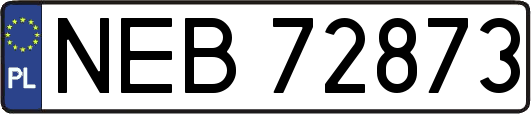 NEB72873