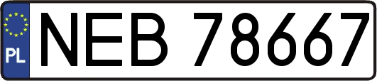 NEB78667