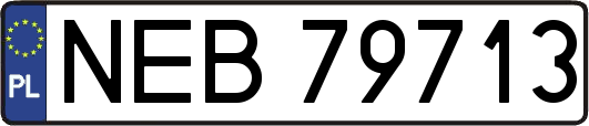 NEB79713