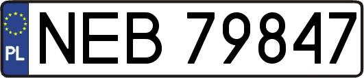 NEB79847