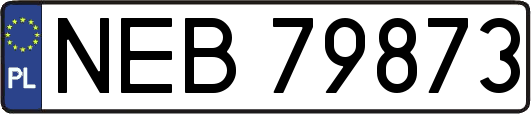 NEB79873