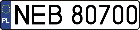 NEB80700