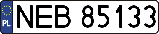 NEB85133