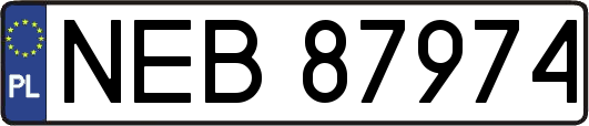NEB87974