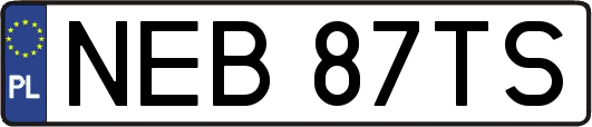 NEB87TS
