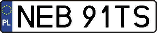 NEB91TS