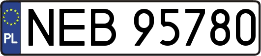 NEB95780