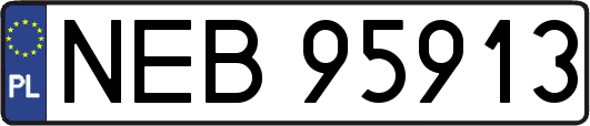 NEB95913