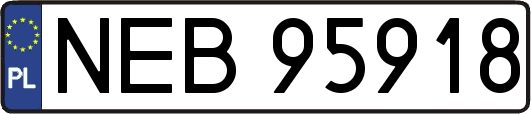 NEB95918