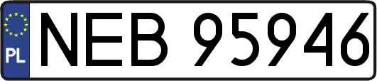 NEB95946
