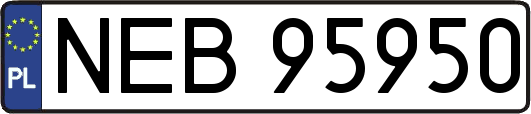 NEB95950