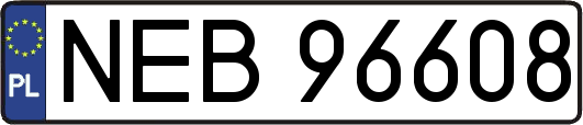 NEB96608