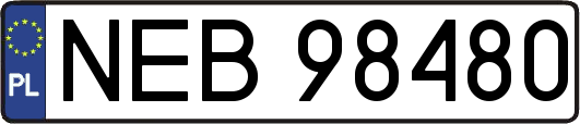 NEB98480