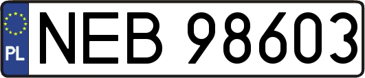 NEB98603
